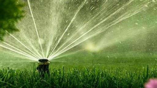 Bomba de pressão: como escolher a ideal para suas necessidades de irrigação e limpeza